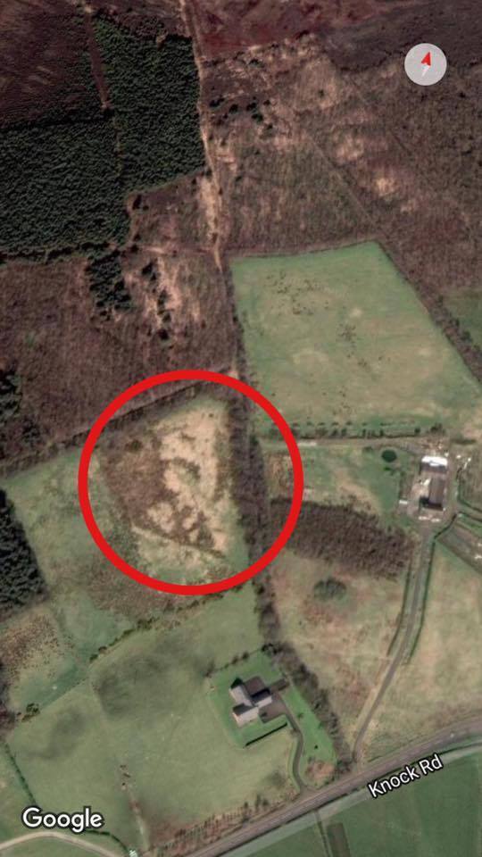 16736089_10154656605753101_289947428_n