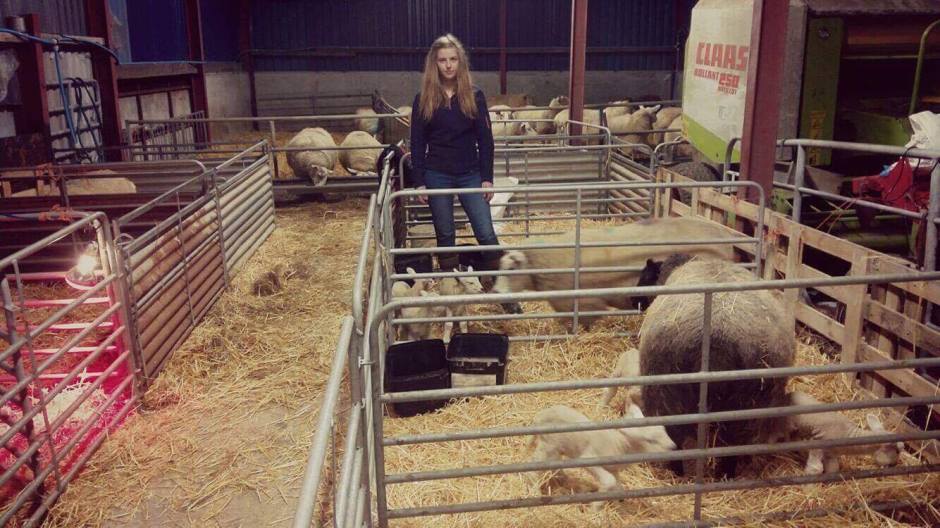 17121996_638773606310464_1164906904_o